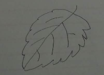 教你画树叶的简笔画