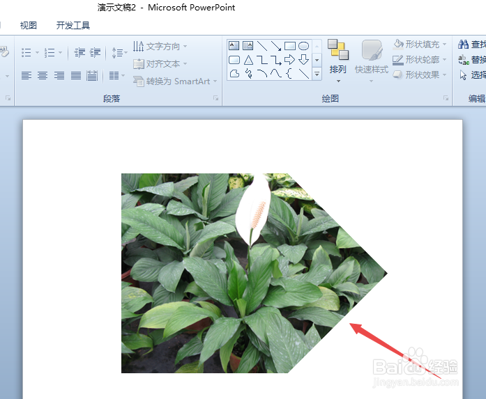 在PPT中如何将图片裁剪为各种形状
