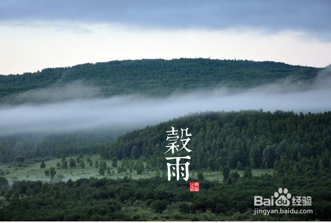 谷雨节气养生推荐