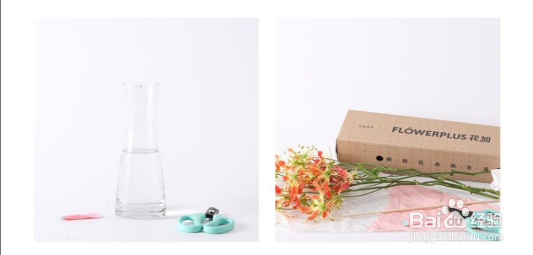 花加鲜花养护攻略，助你呵护每一朵花的美丽