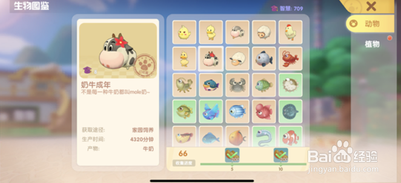 摩尔庄园手游星座巧果饼干食谱