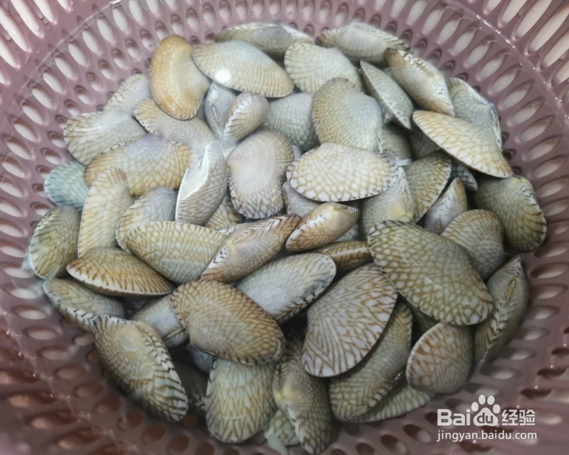 简单易学的“爆炒花甲 ”