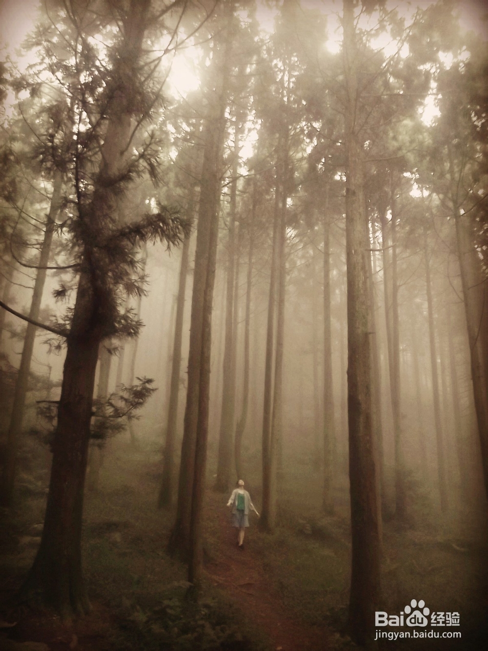 用卡片机也能拍出单反的效果