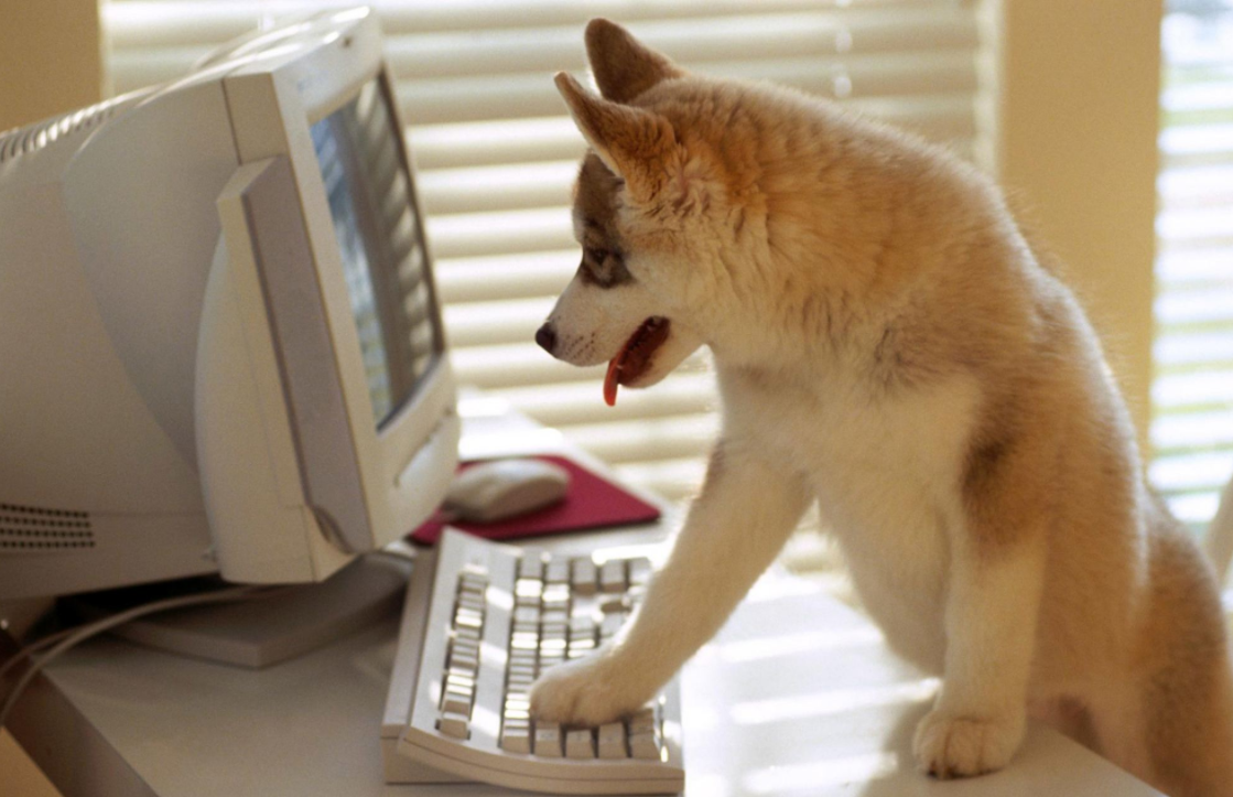 英语表达:玩电脑用play computer对吗