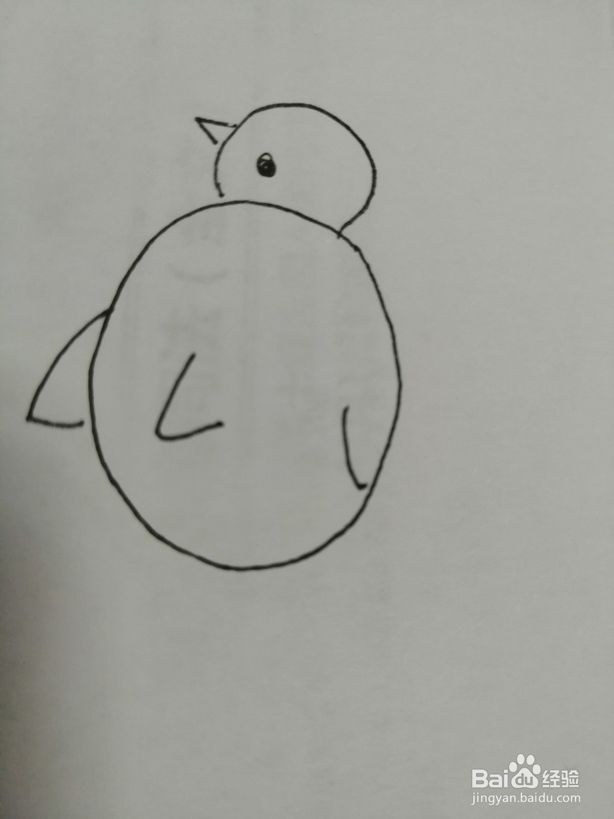 简笔画可爱的小鸡怎么画