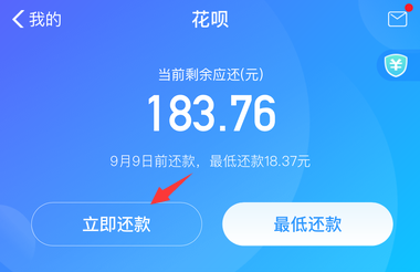 支付宝花呗还款怎么还 花呗提前还款在哪里