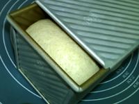 全麦土司#夏日下饭菜#