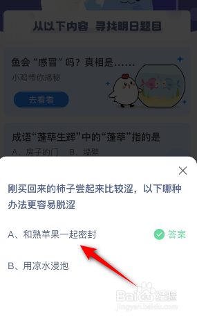 蚂蚁庄园：刚买回来的柿子尝起来比较涩