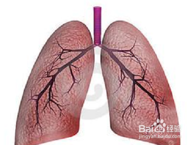 让你增强免疫力的几种食物：[4]