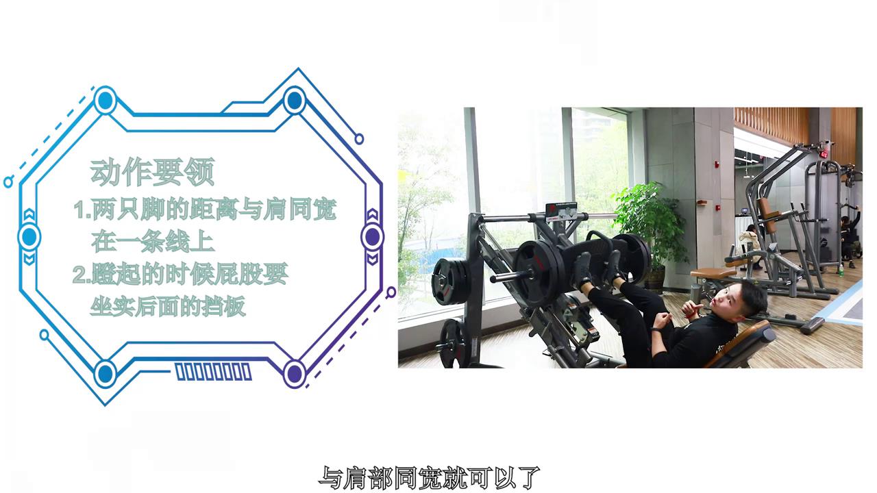 经典腿部器械训练:强化下肢核心肌群