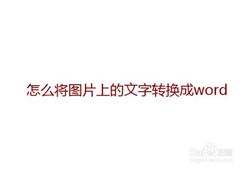 怎么将图片上的文字转换成word