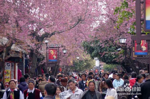 大理古城游玩推荐!