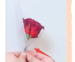 1支花包装教程 百度经验 1支花包装教程 百度经验