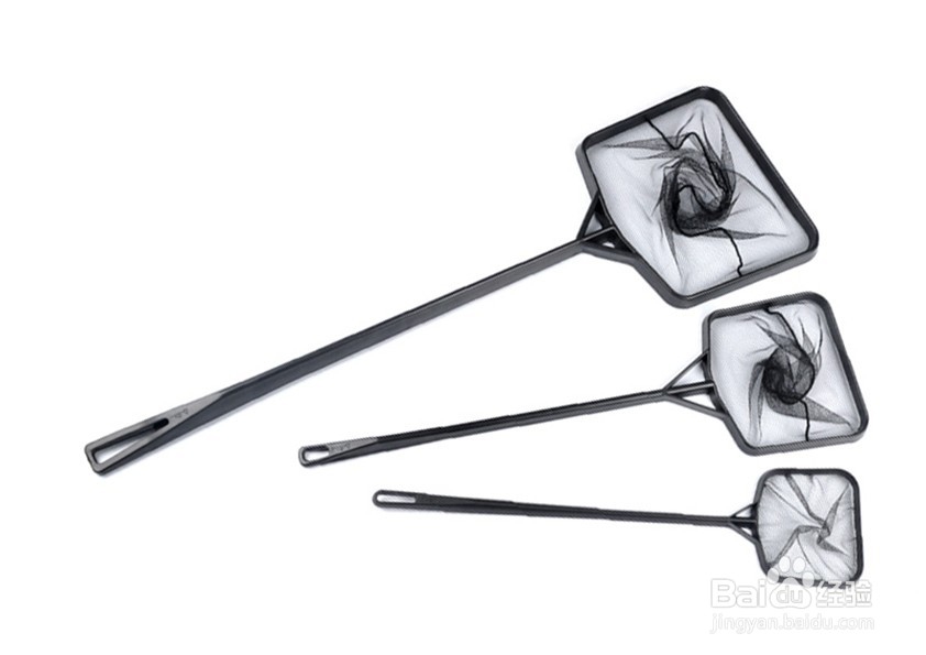 养鱼需要准备什么东西