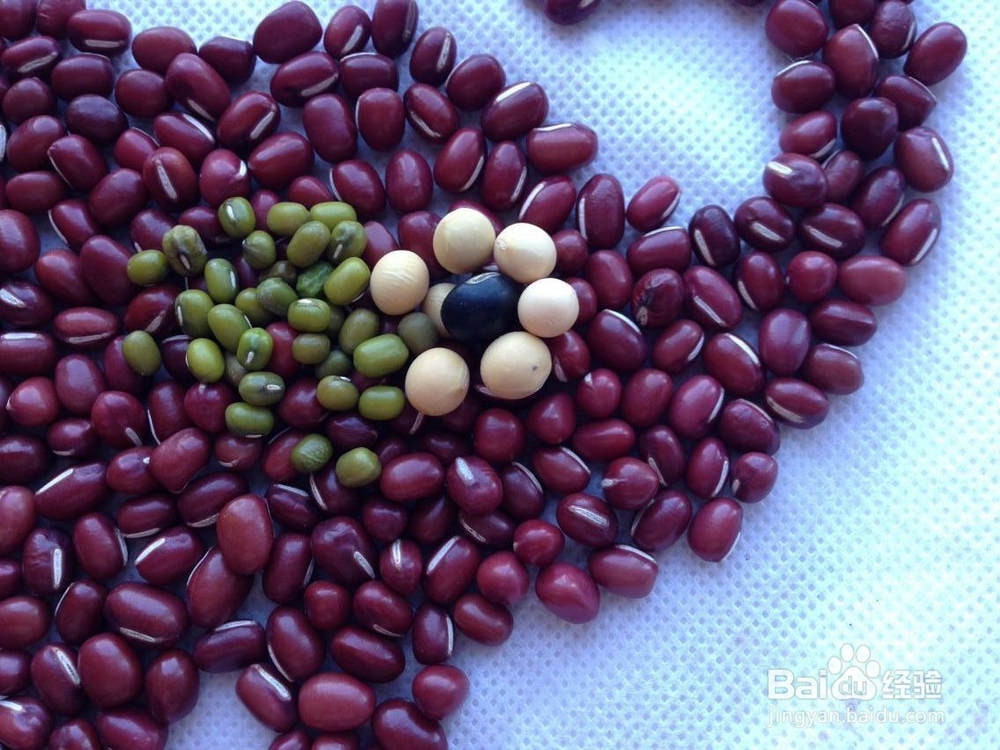 怎样画种子画--大象