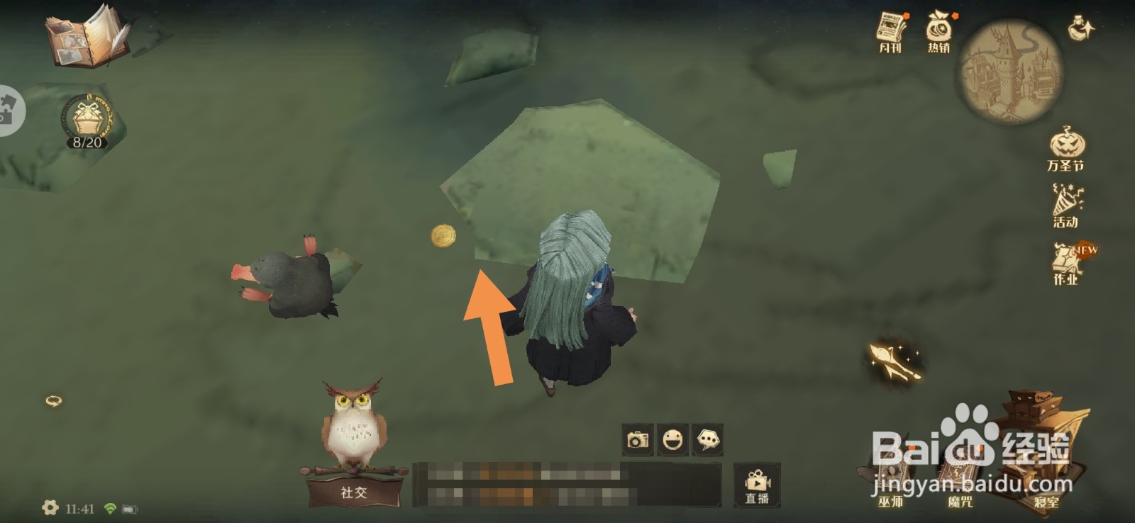 哈利波特魔法觉醒拼图寻宝11.4位置攻略