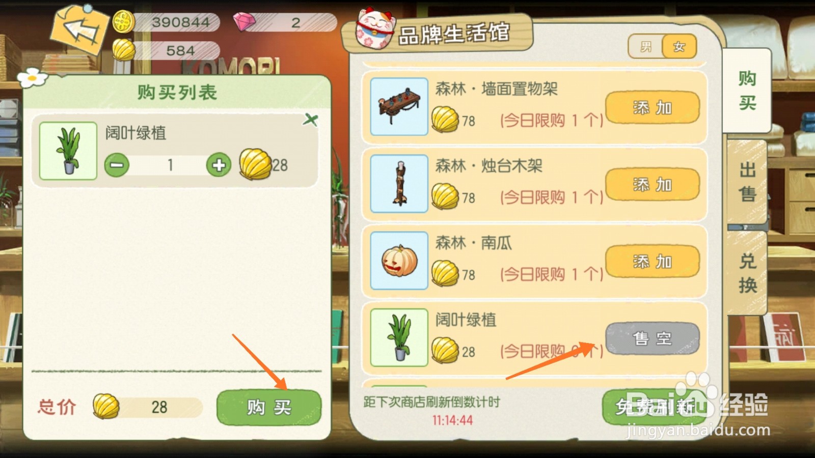 小森生活中哪里得到阔叶绿植