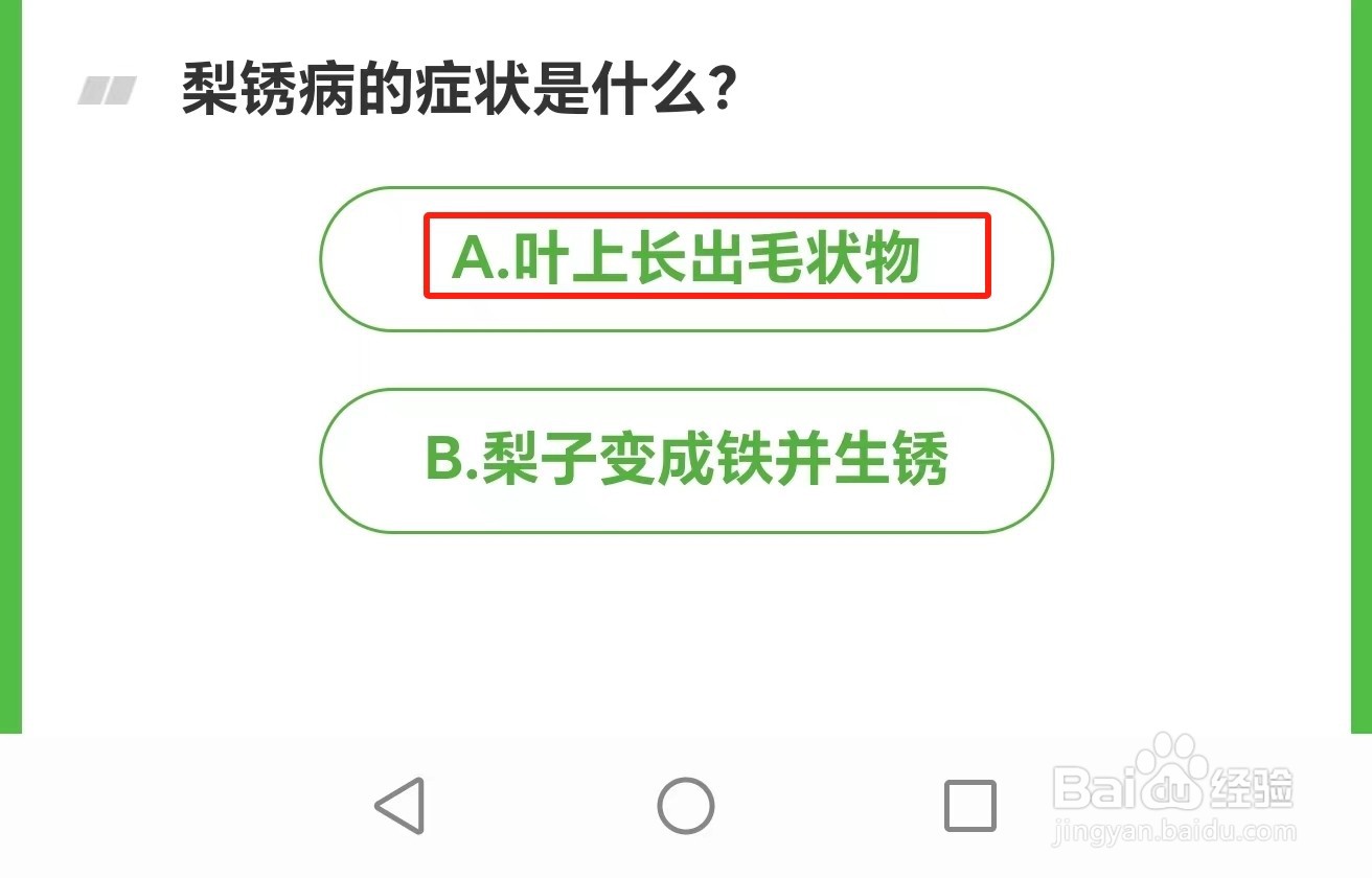 芭芭农场2024.8.18题目答案