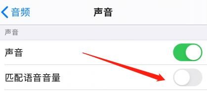 iPhone旁白怎么匹配语音音量