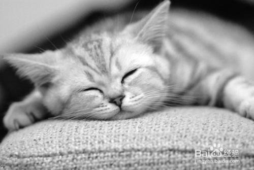 怎么养成良好的睡眠习惯