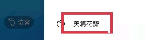 美篇怎么查看花瓣明细