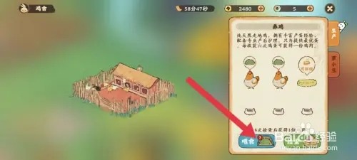 桃源深处有人家怎样喂食小鸡