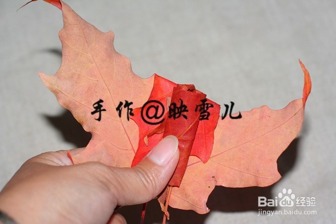 如何用叶子做玫瑰花