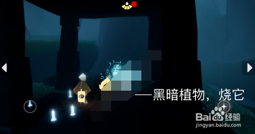《光遇》2023年1月3日每日任务怎么做