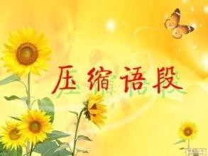 压缩语段的方法技巧