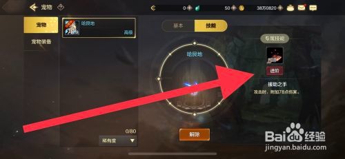 DNF手游宠物技能如何进阶攻略