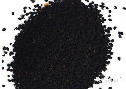 补骨脂的作用以及食用禁忌