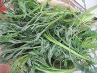 柳蒿芽炒肉丝