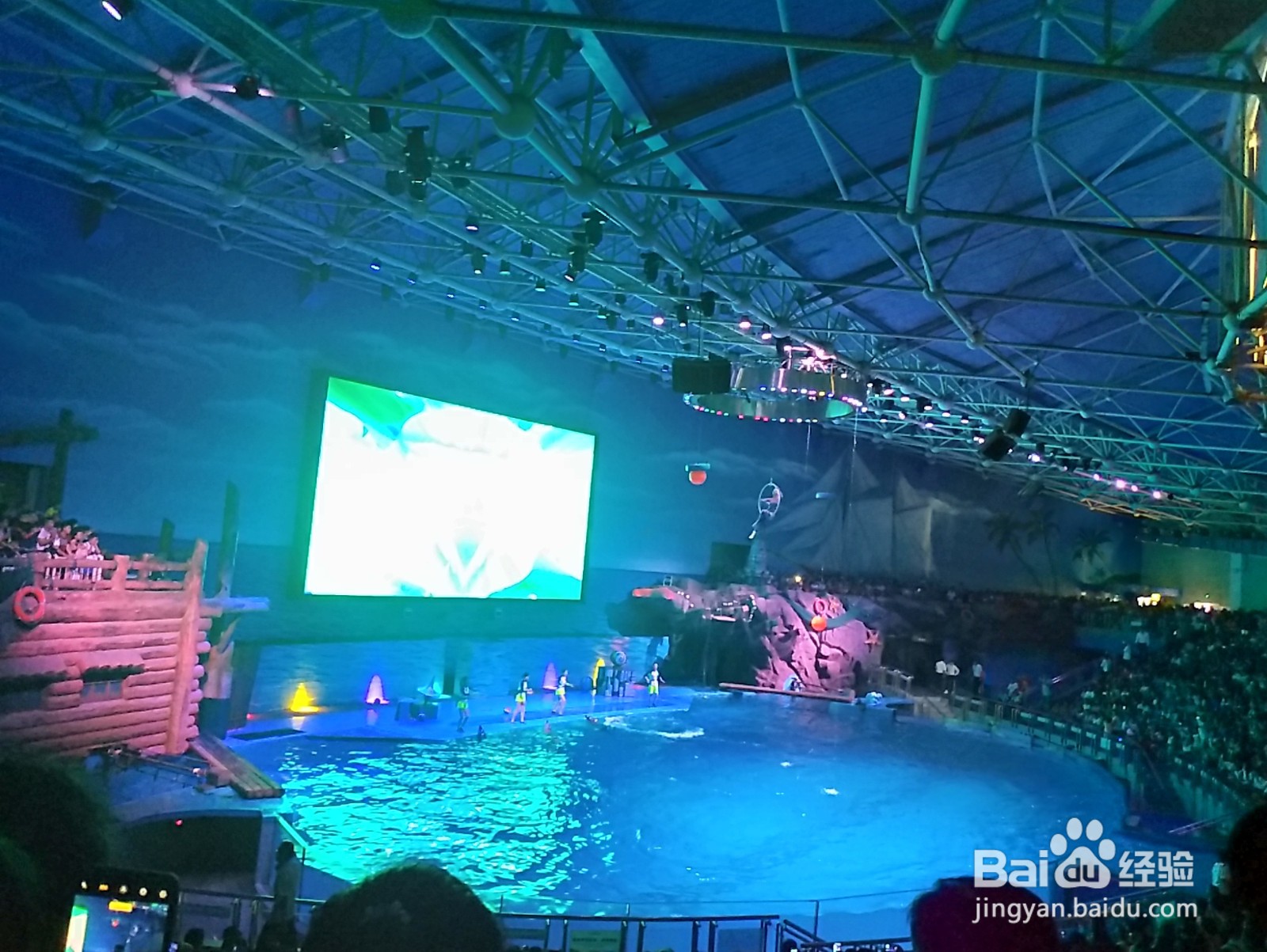 大连老虎滩一日游攻略