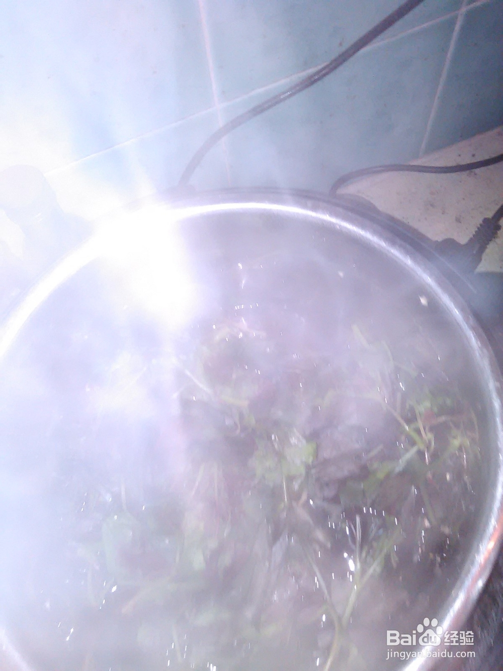 农家苋菜的做法