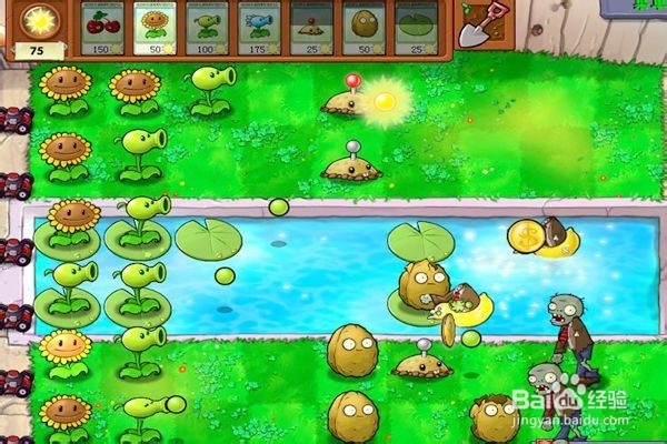 植物大战僵尸通全关的攻略。（3~1关）