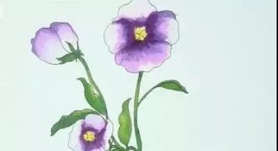 三色瑾简笔画教程 百度经验