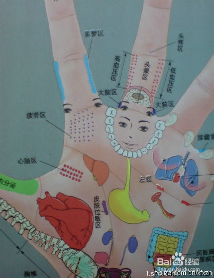 数百个你不知道的小知识：[1]