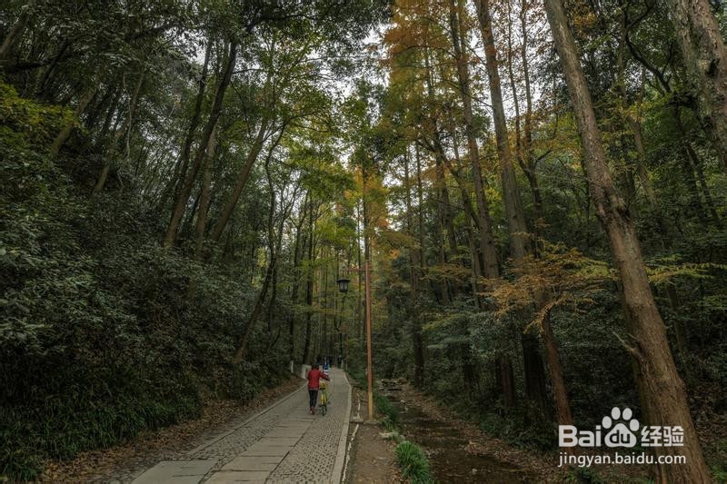 诗画浙江畅游杭州攻略5