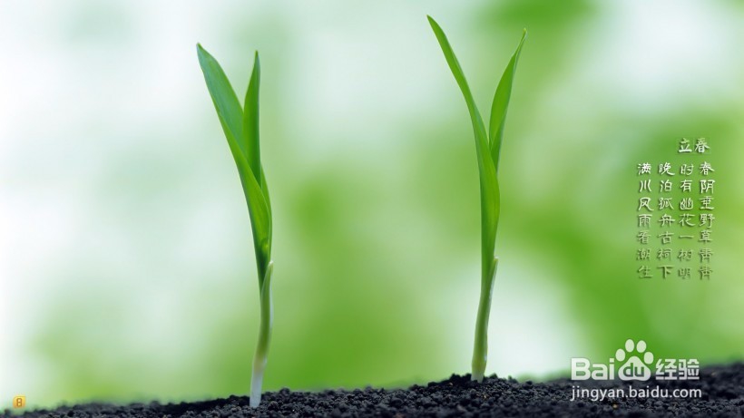 二十四节气之立春