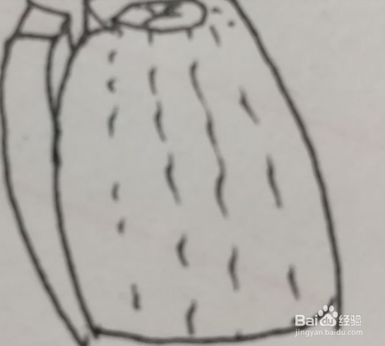 葡萄柚怎么剥方便