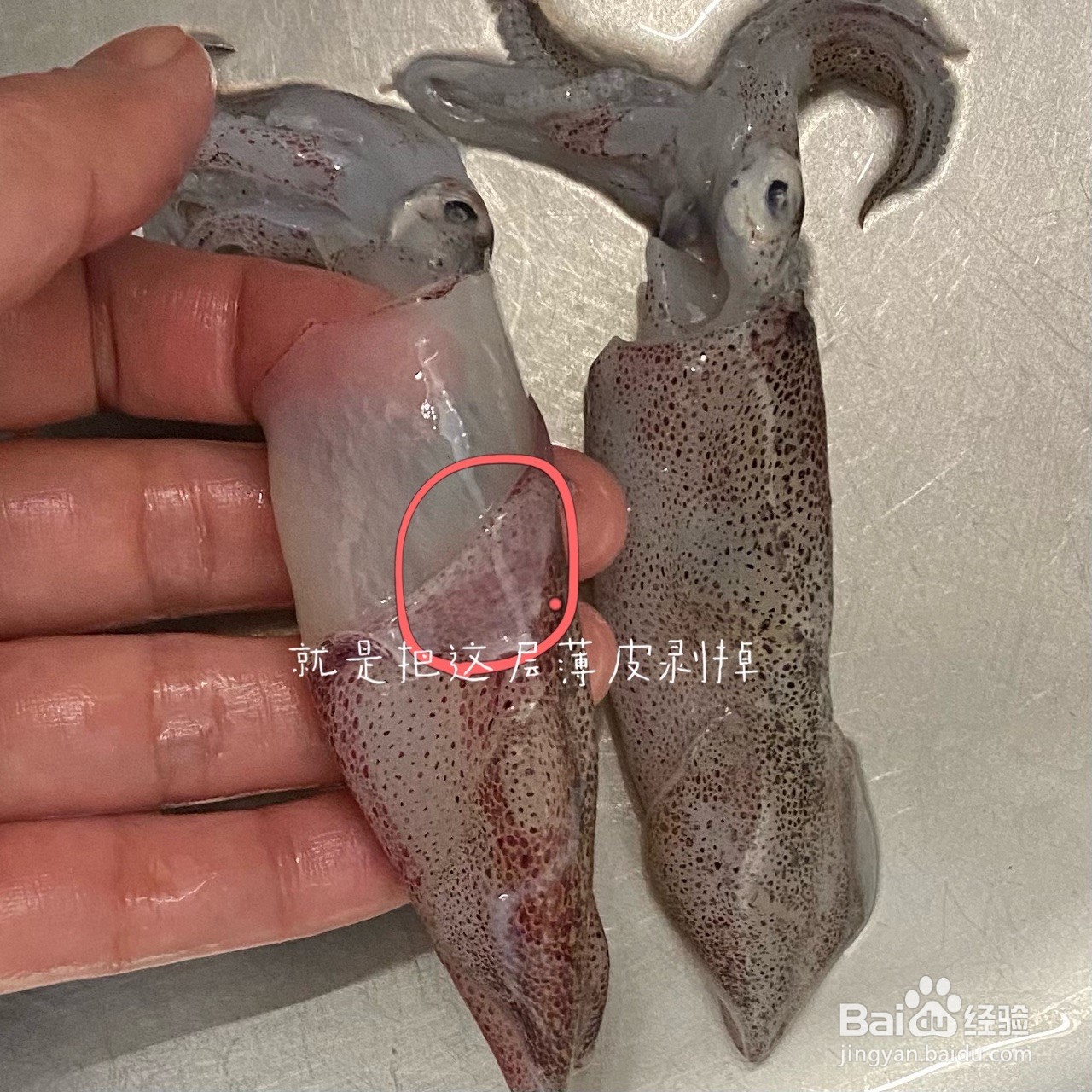 小葱鱿鱼仔怎么做