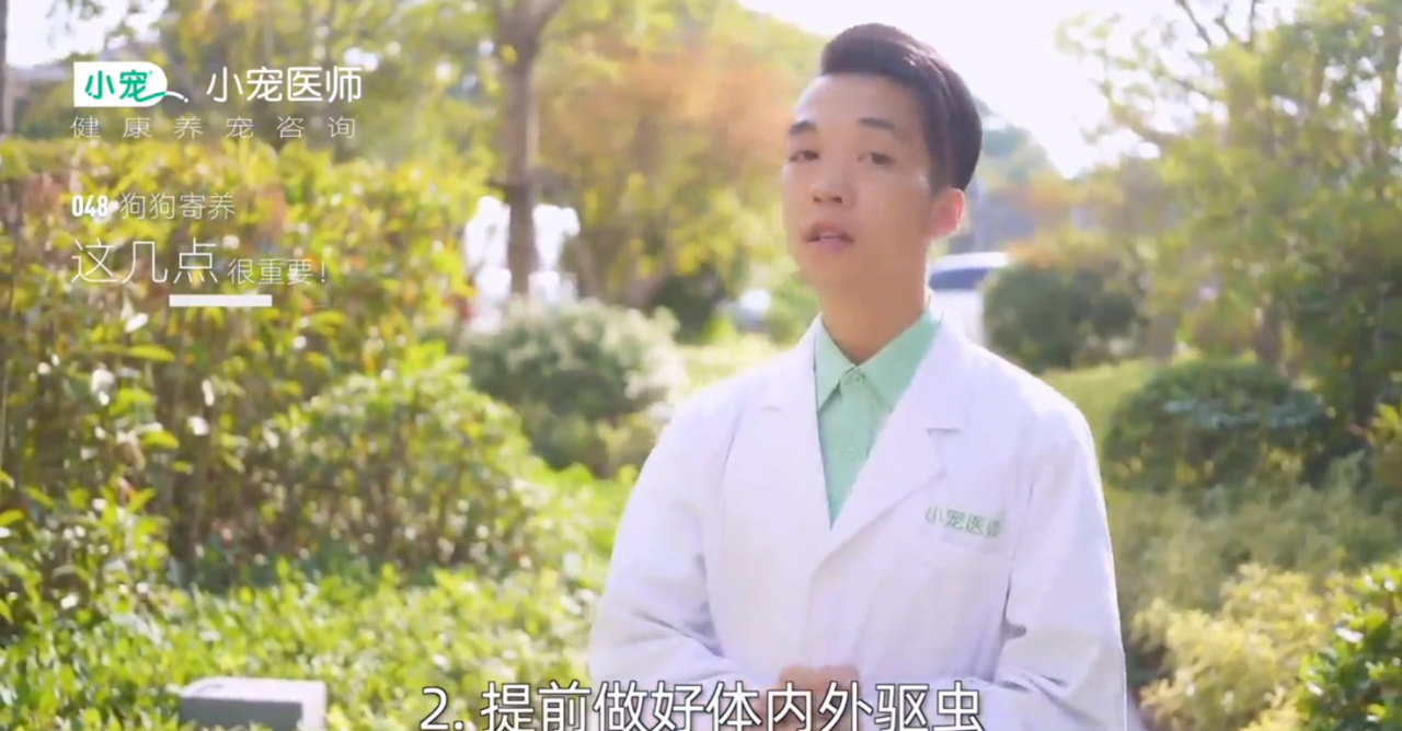 狗狗寄养有哪些注意事项