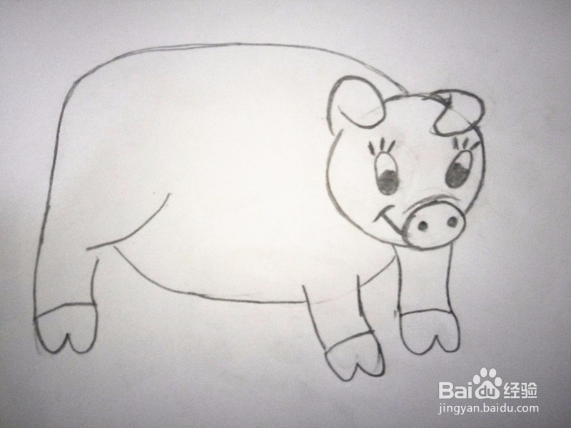 简笔画—卡通猪的画法