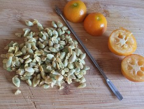 老冰糖金桔蜜饯