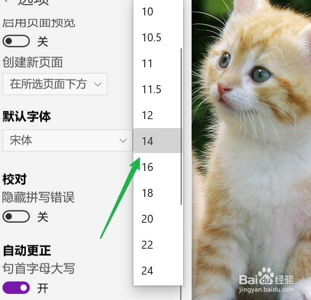 OneNote如何修改默认字体和字号