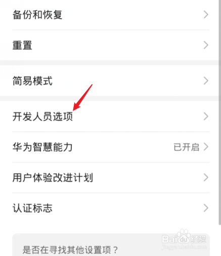 开发人员选项怎么打开