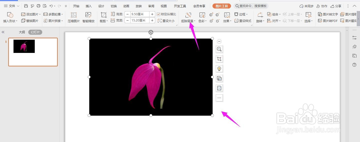 怎么用ppt扣除图片背景
