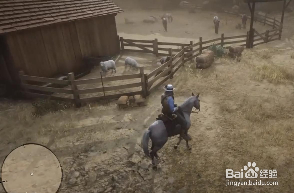 荒野大镖客2 松鼠标本位置一门艺术奖杯获得方法