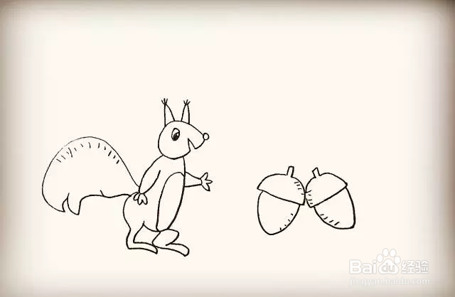 简笔画怎么画可爱小松鼠？