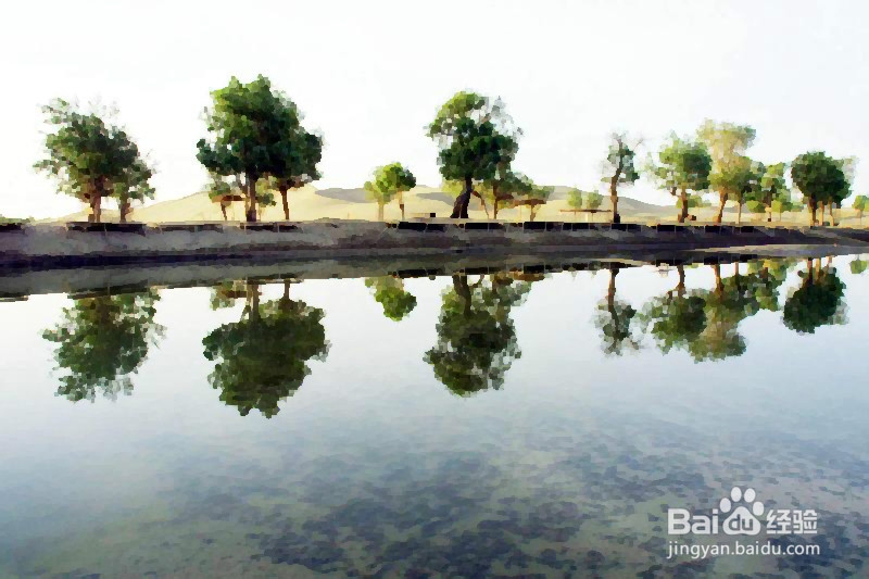饮用水水质净化的方法